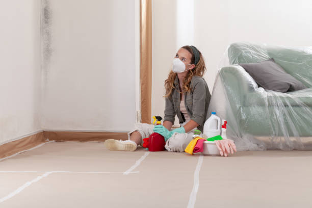 Reliable Attic Mold Removal contractor in New Milford, IL by WQB Mold Removal